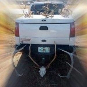 Meet your Posher, Sandy